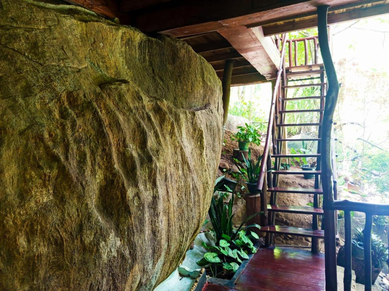 Jungle Face Inn Ella Exterior foto